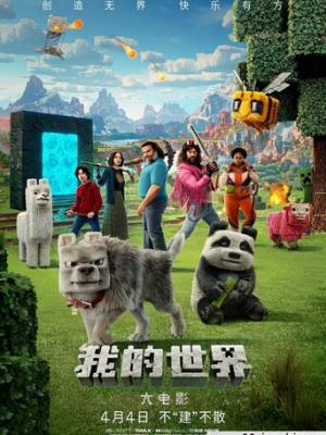 评分高作